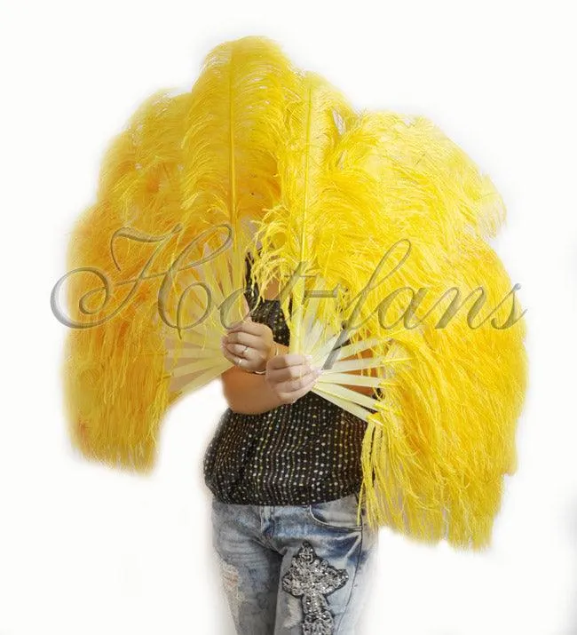 A pair Custom color Single layer Beginner’s Ostrich Feather Fan