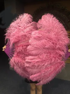 A pair Single layer fuchsia Beginner’s Ostrich Feather Fan