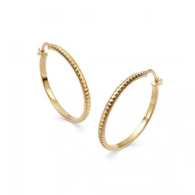 Maxi Studded Hoop In 18ct Gold Plated Earrings E3108_GP