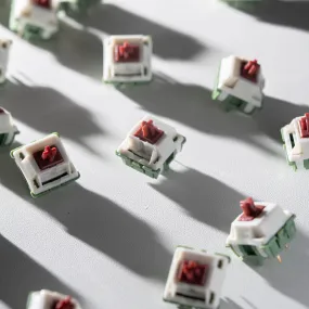 Neson Design Camping Life Switches (35 switches per box)