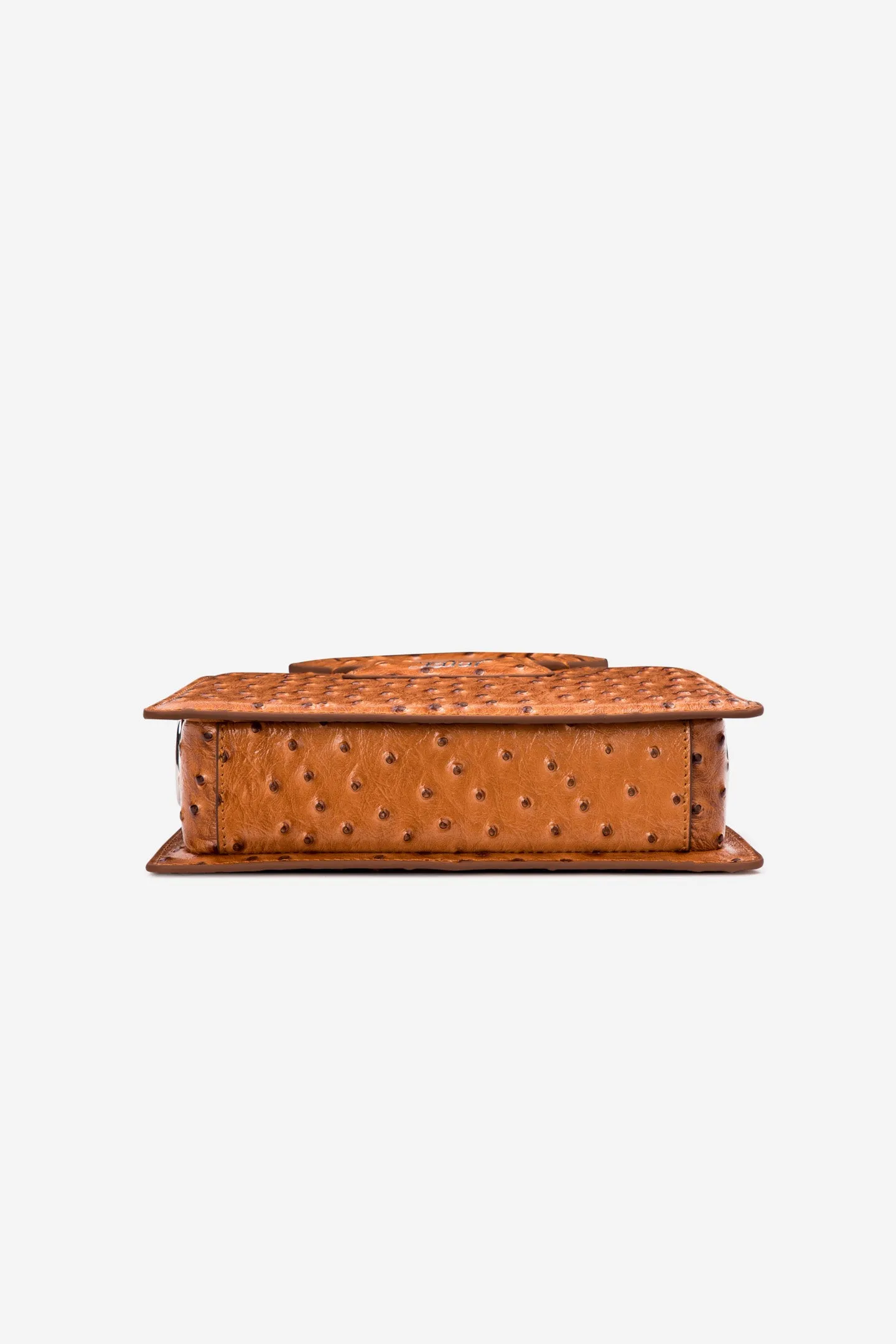 Tan Ostrich Embossed Small Ana