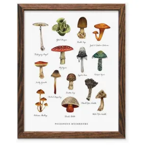 The Wild Wander Poisonous Mushroom Field Guide Print (11x14)